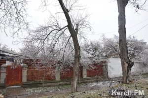 В Керчи током убило собаку