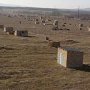 В Крыму участникам «полян протеста» выделено более 2 тысяч земельных участков
