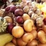 Крымским аграриям выделили более 4,7 тыс. льготных торговых мест