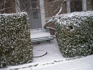 Ботсад на юге Крыма укрылся снежным покрывалом (фото)