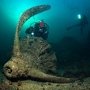 В Ялте забурлит подводная жизнь