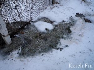 В Керчи вода течет на территории детского сада