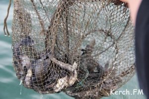Керченская рыбоохрана заканчивает приём заявлений на орудия лова