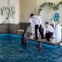 В Ялте состоялась первая в Украине свадьба дельфинов
