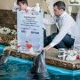 В Ялте поженились дельфины (фото)