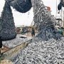 Рыбный промысел у берегов Алушты разрешён, – Рыбнадзор