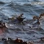 3,5 тонны нефти спустили в море возле Севастополя