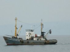 В Алуште предложили запретить судам ловить рыбу у своих берегов