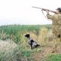 За неделю в Крыму выявили три факта незаконной охоты