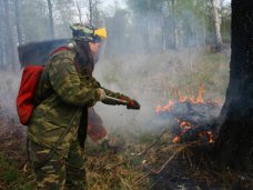В заповеднике Ялты реализуют проект по тушению лесных пожаров