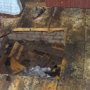 На пожарах в Крыму погибли два человека
