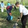 В Кировском районе школьников привлекут к облагораживанию памятников
