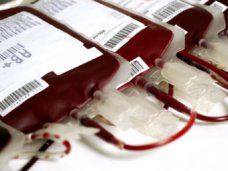 В Столице Крыма требуются доноры крови