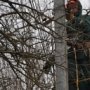 Ветер обесточил 46 сел в Крыму