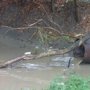 Экологи объявили о неудовлетворительной работе канализации в Судаке