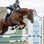 В Крыму пройдут соревнования по конному спорту