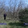 Пополнение в Дендро- парке Крымского заповедника