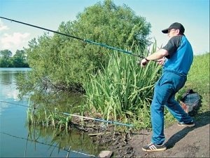 В пресных водоемах Крыма и Севастополя запрещен лов рыбы