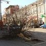 В центре Симферополя в результате ДТП сломан клен