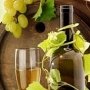 Феодосия ищет рынки сбыта винодельческой продукции в городах России