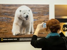 В Севастополе проведут фотовыставку «Дикая природа России»