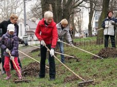 В Феодосии проведут субботник