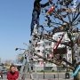 В Керчи активисты приводят в порядок генеалогическое дерево