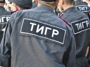 «Тигры» остаются в Феодосии