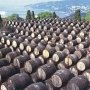 Крымский бизнес-омбудсмен поможет институту вина и виноградарства «Магарач»