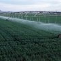 Крым может потерять урожай на 120 тыс га из-за ограничения подачи воды Киевом