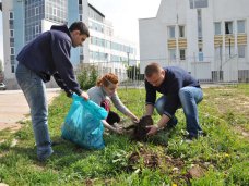 У библиотеки Франко в Столице Крыма высадили молодые деревья