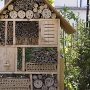 В Севастополе откроется гостиница для насекомых