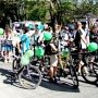 «Зеленый марш» устроят в Симферополе