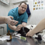 В Белогорском районе переоснастят ветеринарную службу