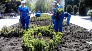 Озеленение Приморского бульвара профинансировал Татарстан