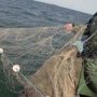 Вылов рыбы в Крыму упал почти на 70%