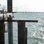 Деньги со строительства порта «Тамань» перекинут в Крым?