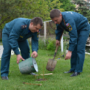 Крымские спасатели высадили 1 тыс. деревьев