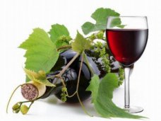 Крымские виноделы объединились в «Крымское бюро винограда и вина»