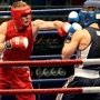 В Севастополе проведут международный турнир по боксу