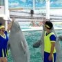 Впервые в дельфинарии в Евпатории начали выступать киты