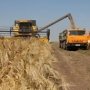 В Крыму планируют собрать 960-980 тыс. тонн ранних зерновых