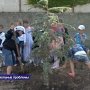 В симферопольской школе номер семь учащиеся младших классов с утра пораньше занимались высадкой деревьев