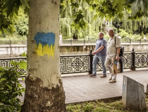 Украинизация деревьев