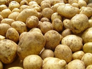 Россия запретила ввоз картофеля из Украины