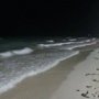 Пляжи Алушты предложили закрывать на ночь