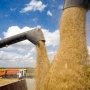 Крым не намерен экспортировать зерно в страны ЕС
