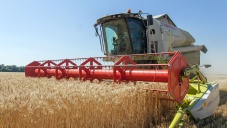 Аграрии собрали в Крыму треть урожая зерна