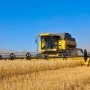 163,8 тысяч га ранних зерновых убрали в Крыму
