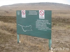 Экологи просят Путина защитить Опукский заповедник и др от крымских чиновников
